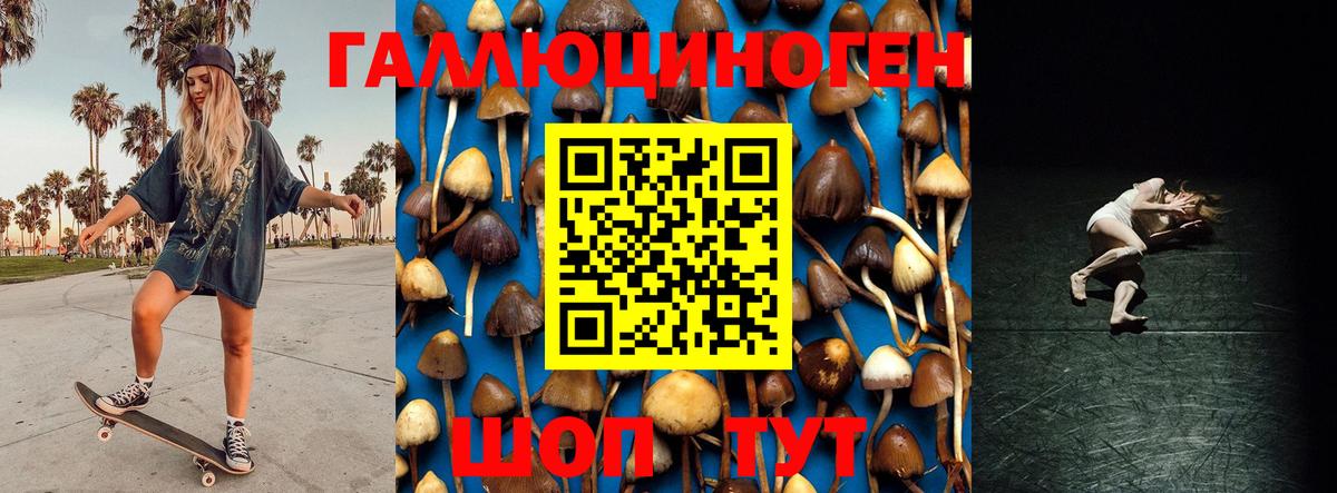Галлюциногенные грибы прущие грибы Щёкино