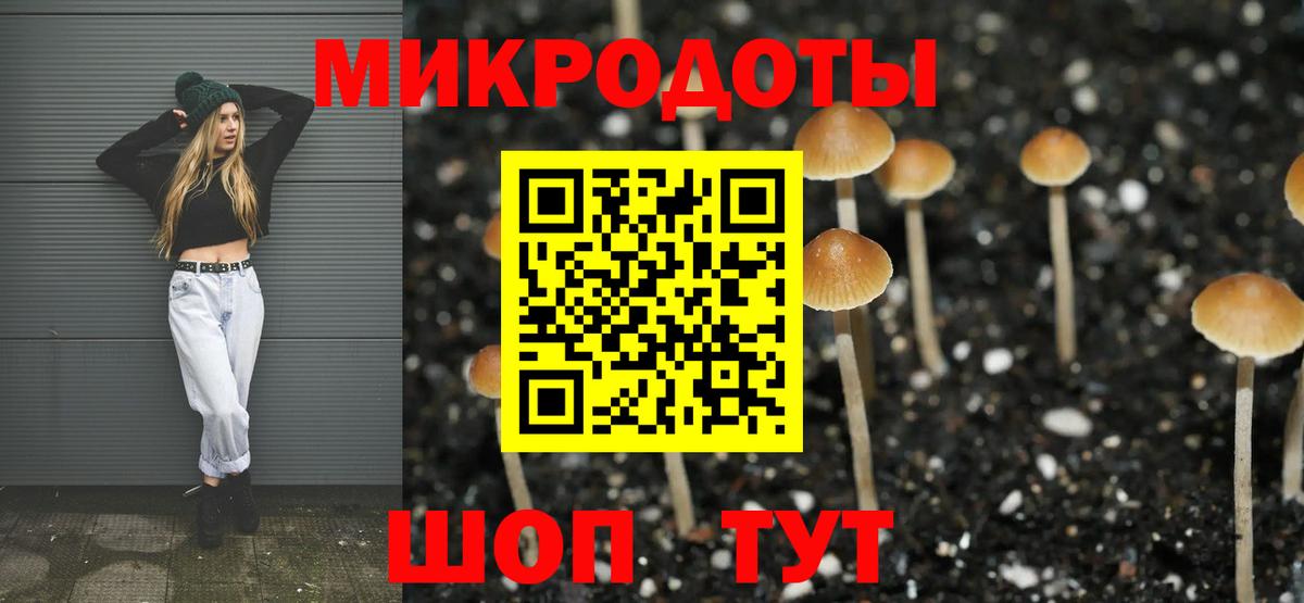 Щёкино  Галлюциногенные грибы мицелий  цены наркотик  Вход с VPN 